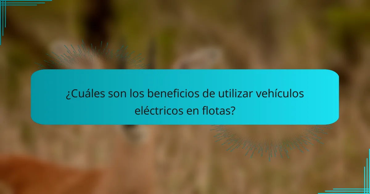 ¿Cuáles son los beneficios de utilizar vehículos eléctricos en flotas?