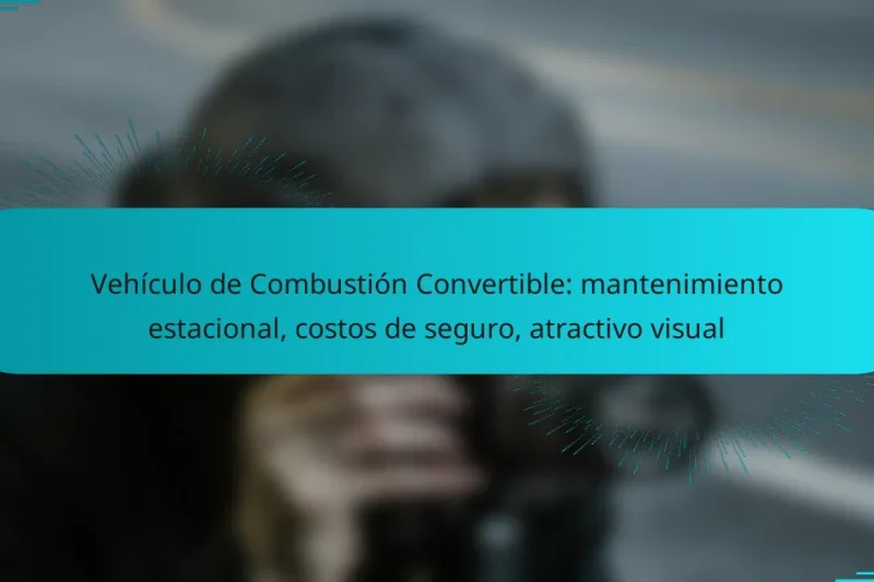Vehículo de Combustión Convertible: mantenimiento estacional, costos de seguro, atractivo visual