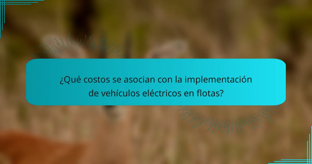 ¿Qué costos se asocian con la implementación de vehículos eléctricos en flotas?