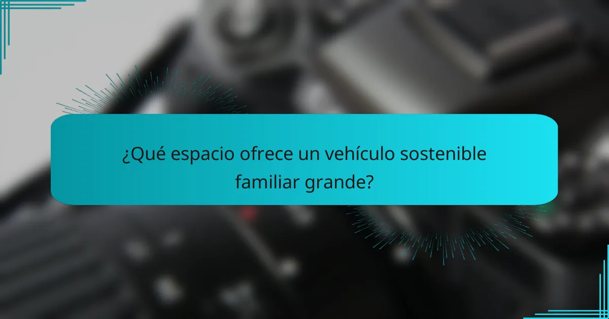 ¿Qué espacio ofrece un vehículo sostenible familiar grande?